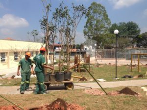 Plantio de Termo de Compromisso Ambiental CDHU Parelheiros D